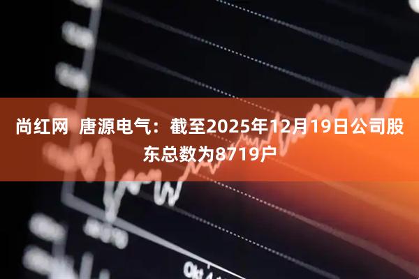 尚红网  唐源电气：截至2025年12月19日公司股东总数为8719户