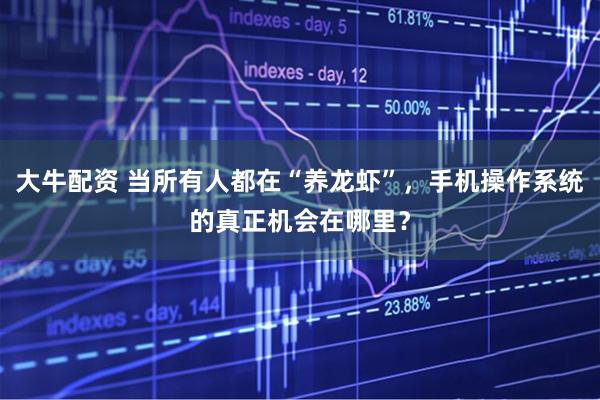 大牛配资 当所有人都在“养龙虾”，手机操作系统的真正机会在哪里？